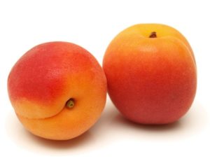 Apricot