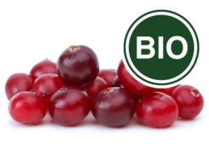 Cranberry Bio