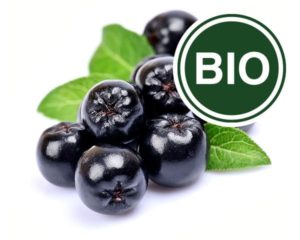 Aronia Bio