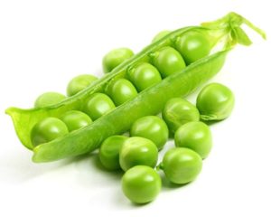 Pea