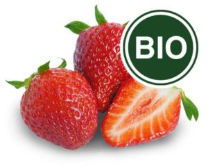 Strawberry Bio