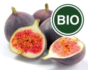 Fig Bio