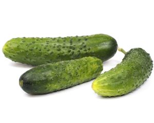 Cucumber