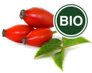 Rosehip Bio