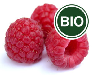 Raspberry Bio