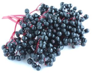 Owoc czarnego bzu