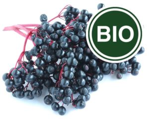 Elderberry Bio