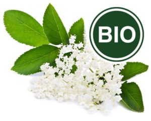 Elderflower Bio