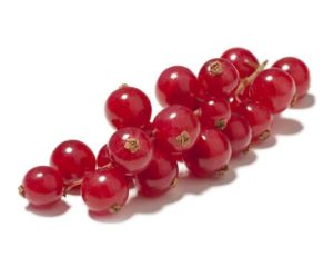 Redcurrant