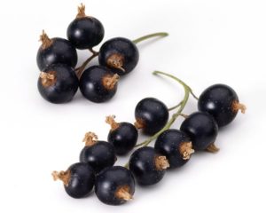 Blackcurrant