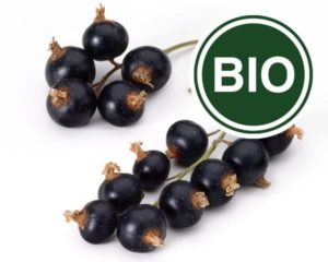 Blackcurrant Bio