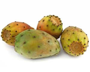Prickly Pear/Indian Fig
