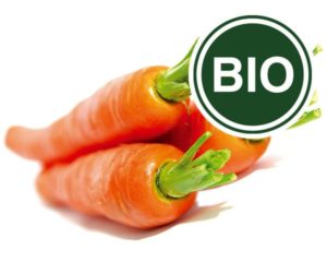 Carrot Bio