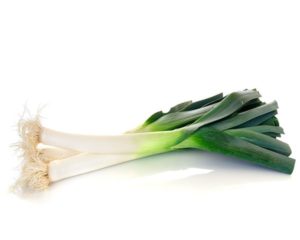 Leek