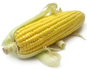 Corn