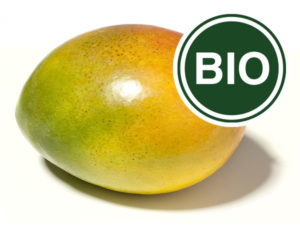 Mango Bio