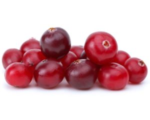 European Cranberry