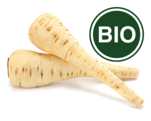 Parsnip Bio