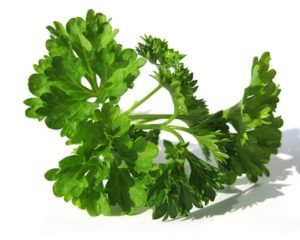 Parsley