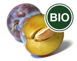 Plum Bio