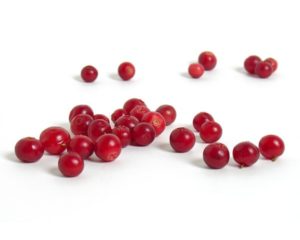 Lingonberry