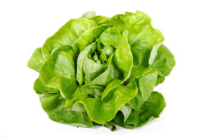 Lettuce