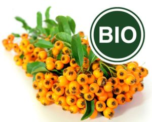 Sea Buckthorn Bio