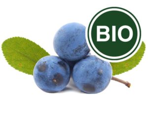 Sloe Bio