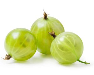 Gooseberry