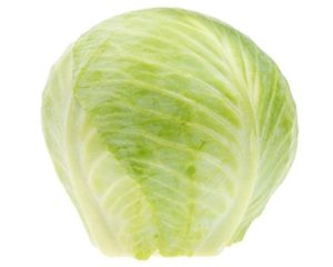 White Cabbage