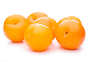 Yellow Plum