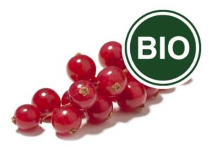 Johannisbeere rot Bio